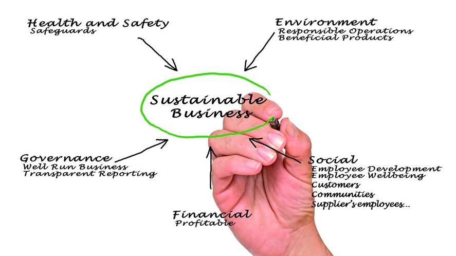 sustainable business ©Dmitry-AdobeStock