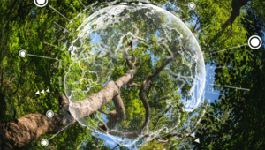 Greenleaf123_iStock_Earth Day eco concept with rainforest background