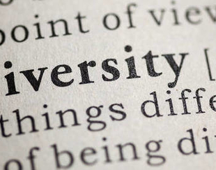 Diversity dictionary definition