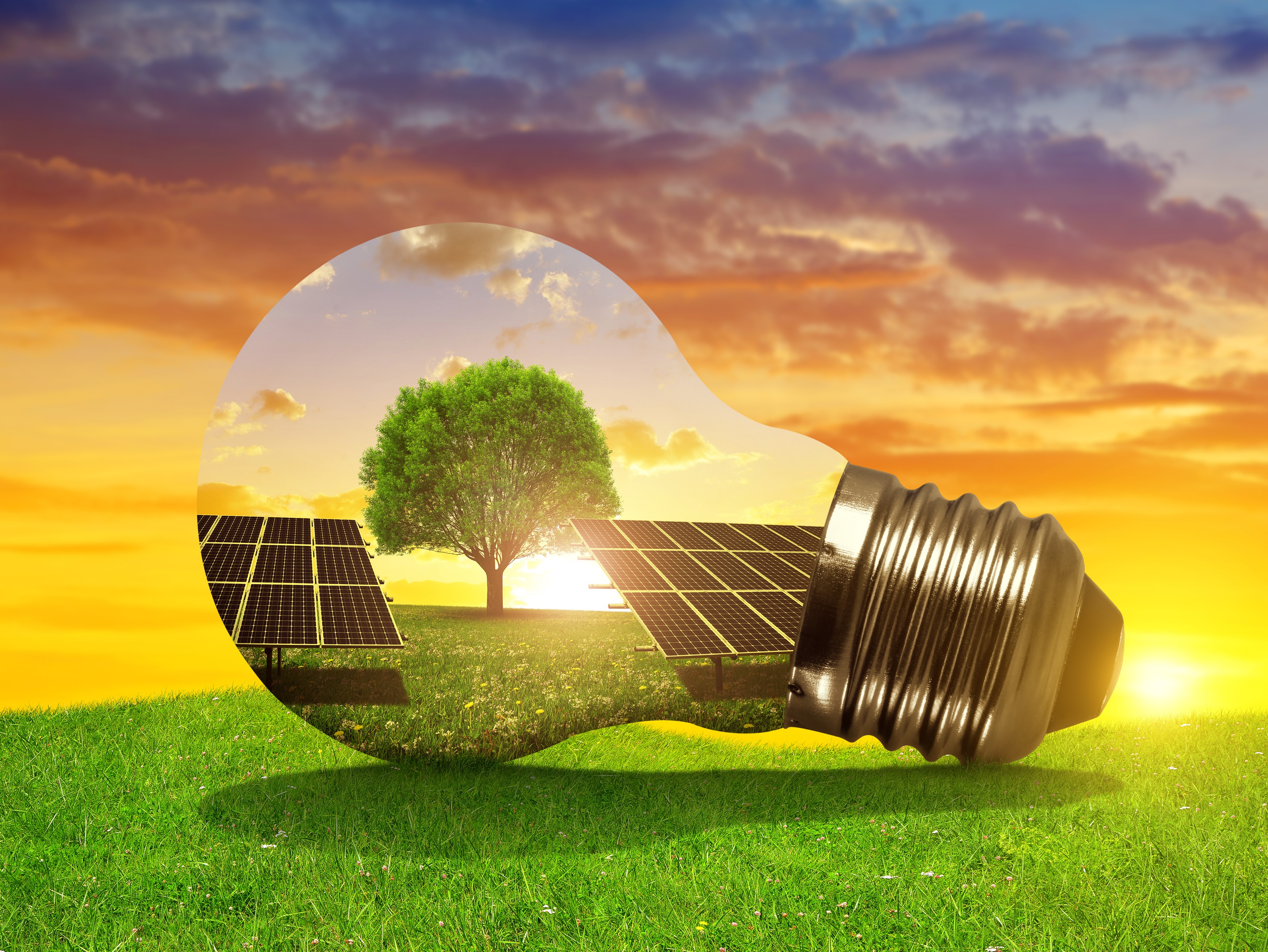 Способны использовать энергию света. Энергосберегающие технологии. Энергетика и энергосбережение. Солнечная энергия. Энергетика и природа.