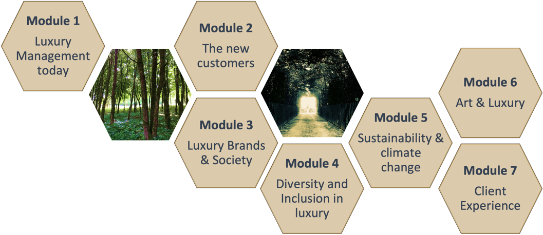 LVMH certificate - LVMH - module 1 LVMH and the luxury industry 1. Select  the sectors that are part - Studocu