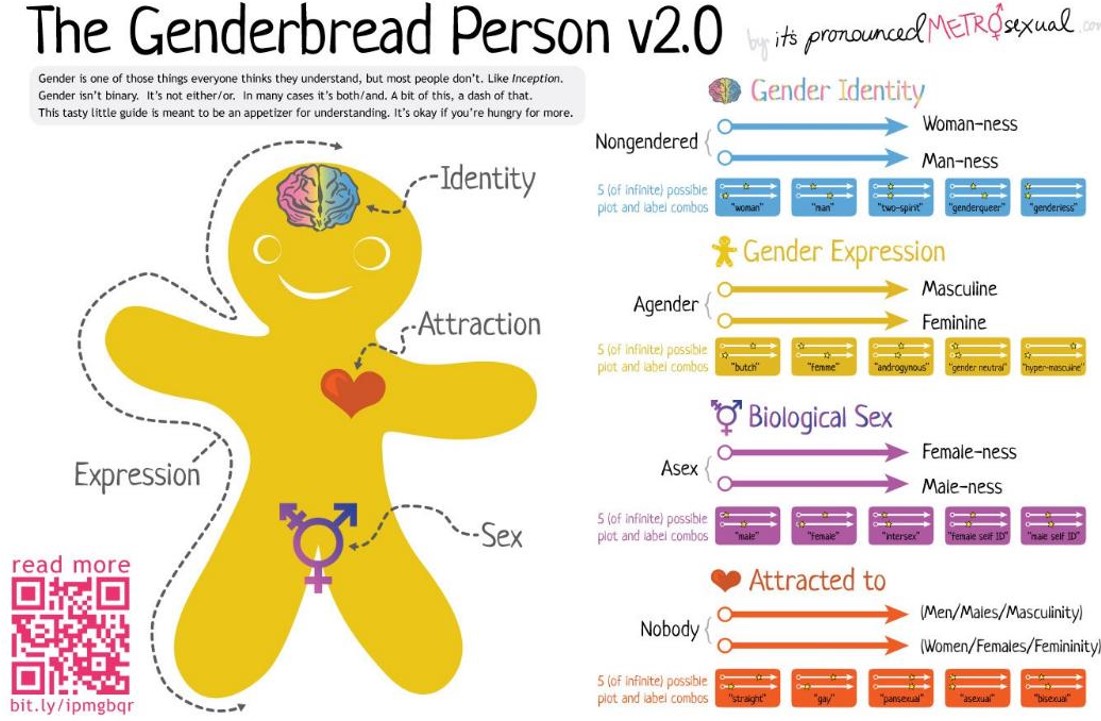 LGBTQIA+ Genderbread to better understand 