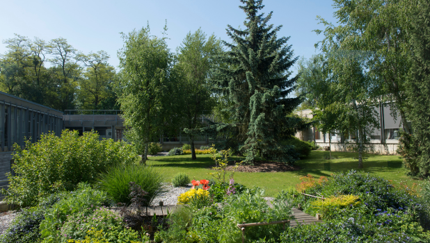 Garden on HEC campus