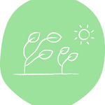 Market Enabled Regeneration