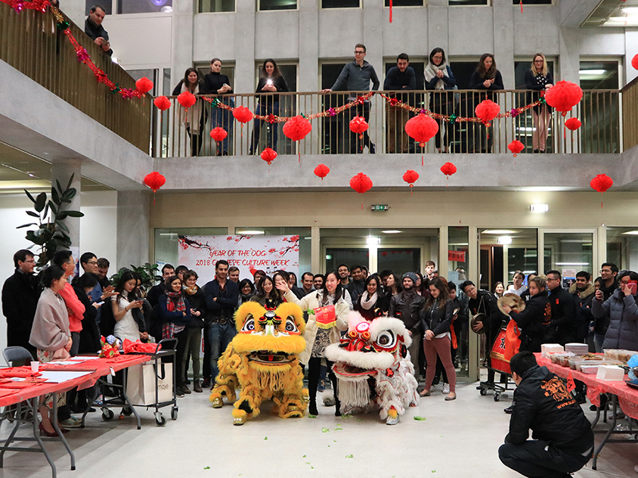 Two dragons visited campus for Chinese Cultural Week