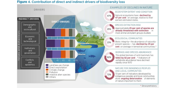 White paper Biodiversity fig4 resize