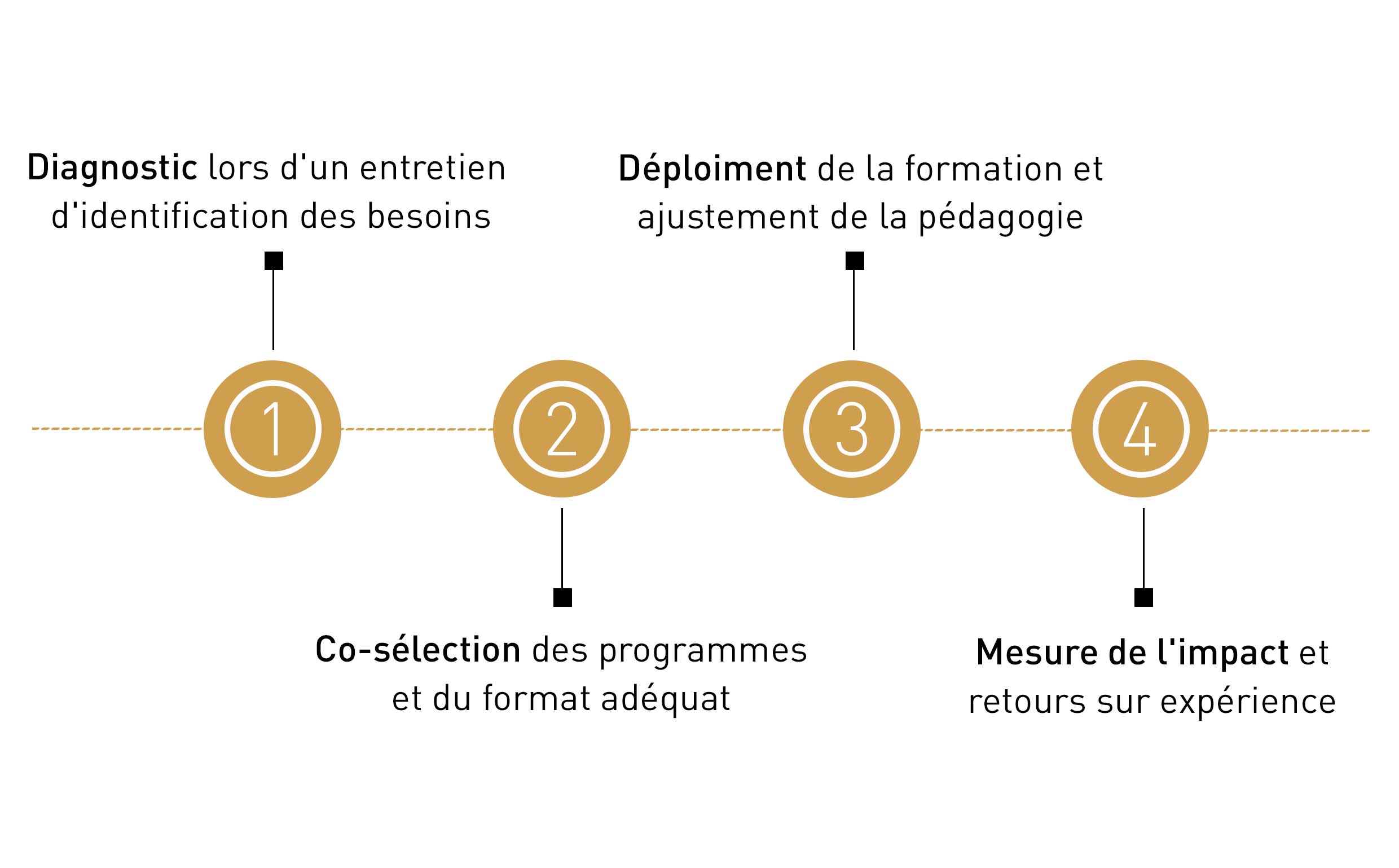 infographie programmes entreprises