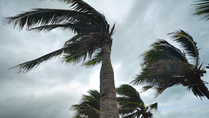 Stormy weather: Overestimating risk in the wake of disaster - with Adrien Matray - ©Fotolia - behindlens