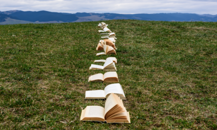 chemin de livres ouverts dans l'herbe en direction de l'horizon