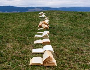 chemin de livres ouverts dans l'herbe en direction de l'horizon