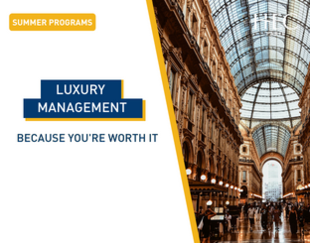 Vignette - Article - Luxury Management