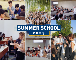 Article Summer School 2023 - Vignette